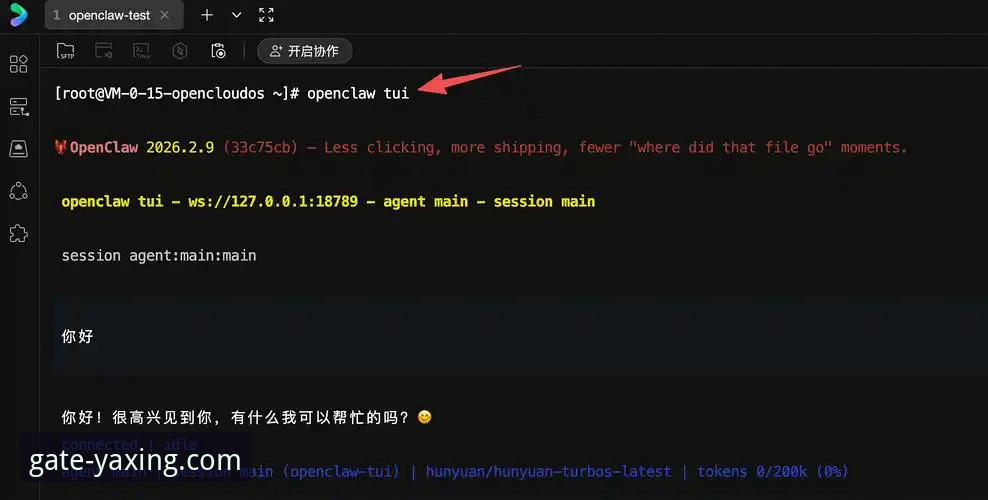 亚星官网怎么进教程 亚星娱乐平台访问完整指南:从入口选择到版本对比的技术评测