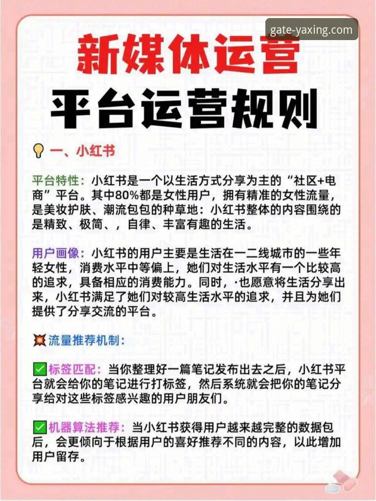 亚星娱乐平台新手指导详解