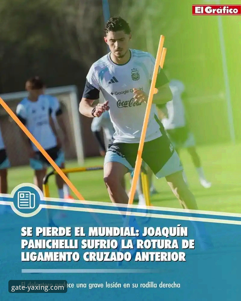 阿根廷世界杯前景分析：帕尼切利伤退的战术影响详解